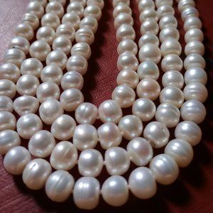 Culture Freshwater pearls